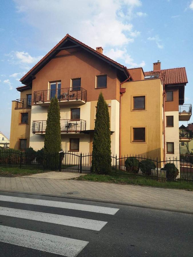 Adlerek Krynica Krynica Morska